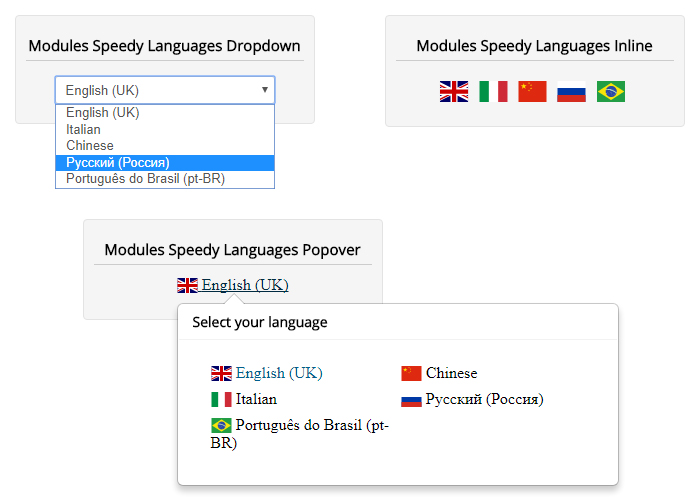 Speedy Translate - Front-end & Back-end language switcher module